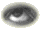 Zone II Eyeball:  Go to Comments [Bottom]