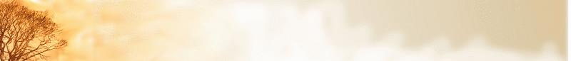 Zone II Tree GIF:  The Plum Tree Page